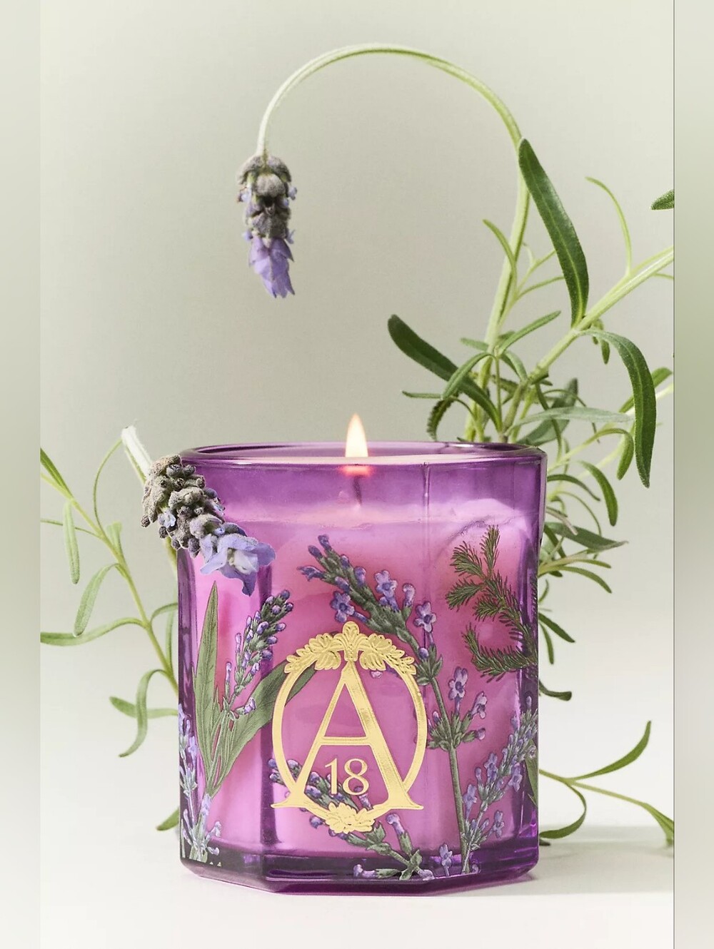 Anthropologie Apothecary 18 Fresh Lavender Balsam Glass Candle
